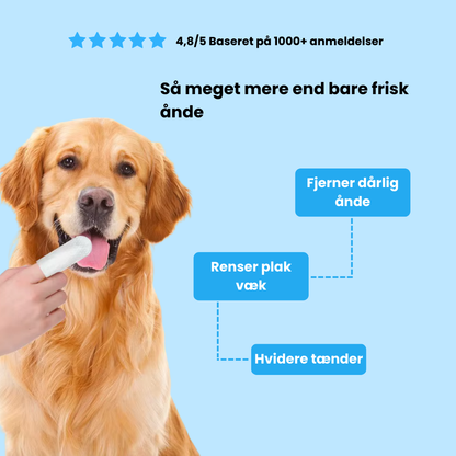 Fingerklude til kæledyr