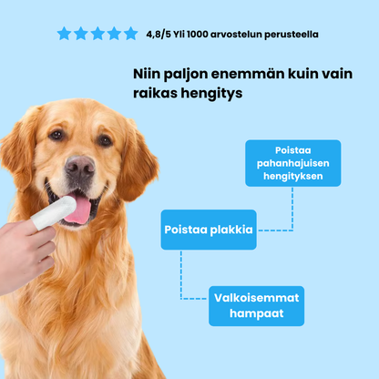 Fingerklude til kæledyr