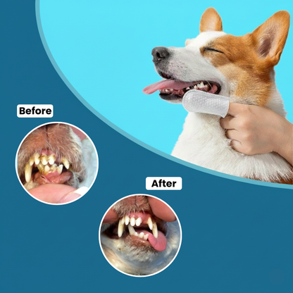 Fingerklude til kæledyr