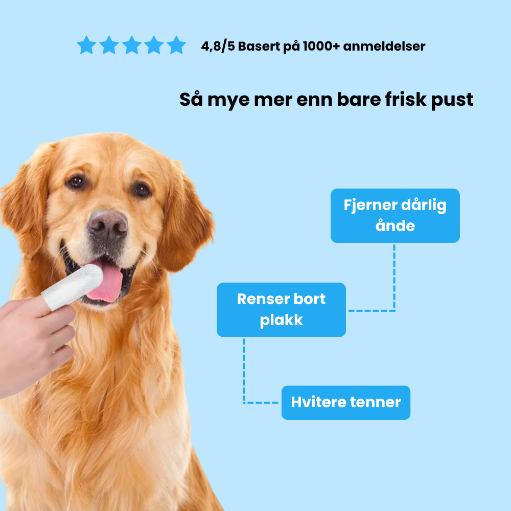 Fingerklude til kæledyr