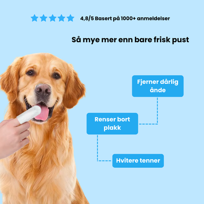 Fingerklude til kæledyr