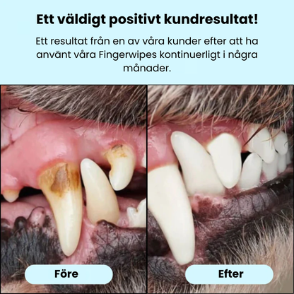 Fingerwipes för Husdjur