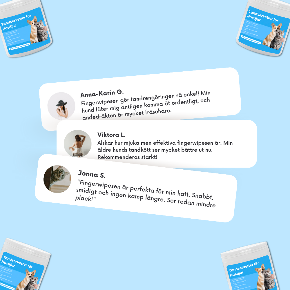 Fingerwipes för Husdjur